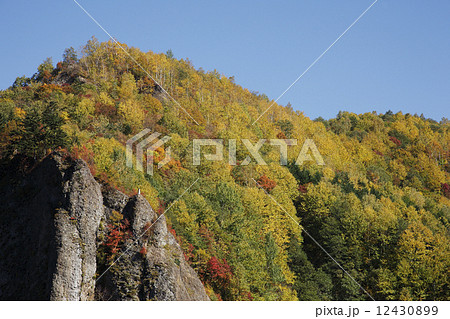 豊平峡の紅葉 12430899
