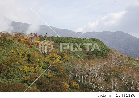 知床の紅葉 12431136