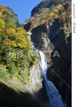 紅葉に包まれた称名滝 紅葉に包まれた称名滝 12431743