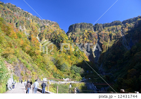 紅葉に包まれた称名滝 紅葉に包まれた称名滝 12431744