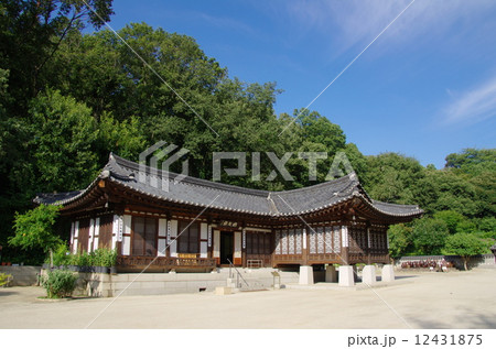 コリア庭園 コリア庭園 12431875