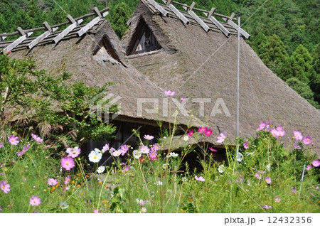 かやぶき屋根と花3 かやぶき屋根と花3 12432356