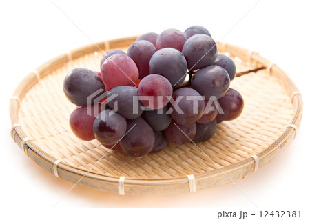 巨峰 巨峰 12432381