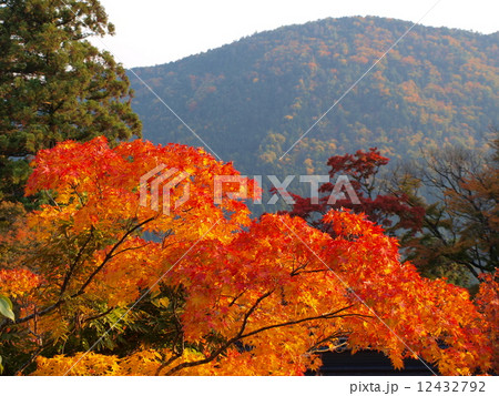 鞍馬寺の秋 鞍馬寺の秋 12432792