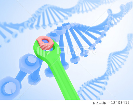 DNA Manipulation DNA Manipulation 12433415