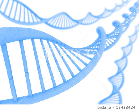 DNA DNA 12433424