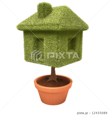 Cultivating House 12435089