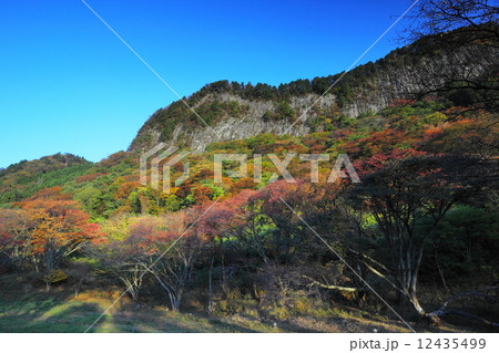 屏風岩公苑　山桜の紅葉 12435499