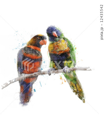 Watercolor Image Of Colorful Parrots 12435542