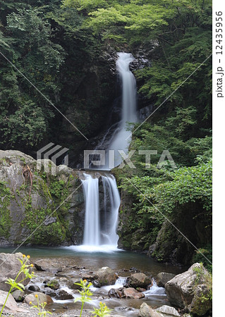 龍神の滝（群馬県　上野村） 12435956