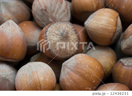 hazelnuts 12436231