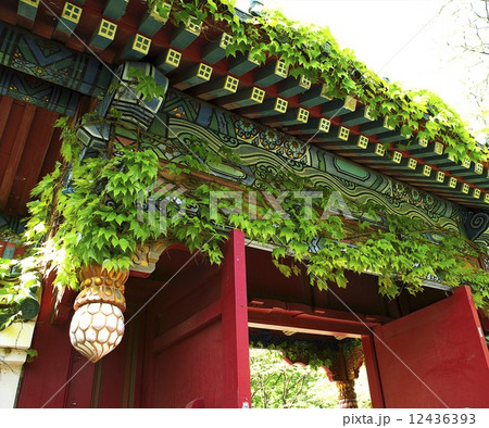 中国の庭園 12436393