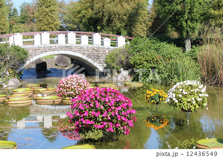 オオオニバス オオオニバス 12436549