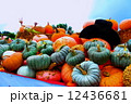 ハロウィン 12436681