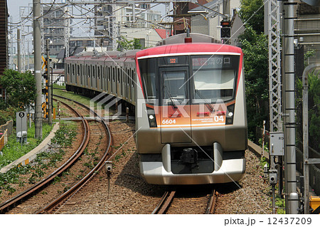 大井町線 6000系電車 大井町線 6000系電車 12437209