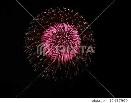 湘南ひらつか花火大会 12437990