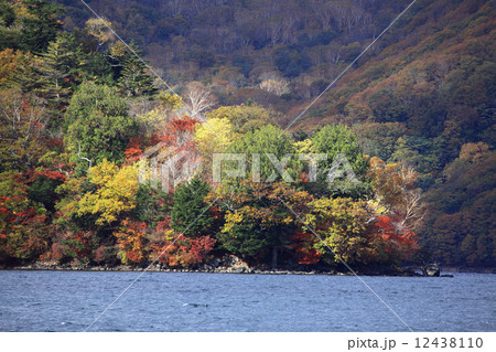 八丁出島 八丁出島 12438110