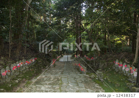 金剛輪寺千体地蔵の参道 12438317