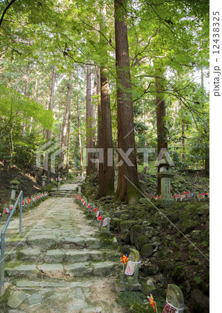 金剛輪寺参道 12438325