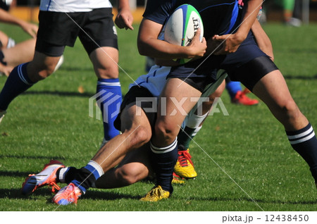 ラグビー：多数 12438450