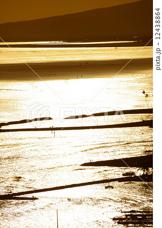 アメリカ　ハワイ　夕焼け 12438864