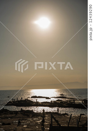 稚児ヶ淵 12439290