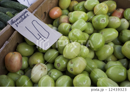 ロシアの青トマト 12439323