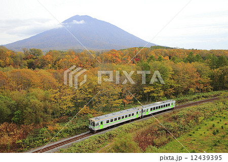 紅葉の函館本線 12439395