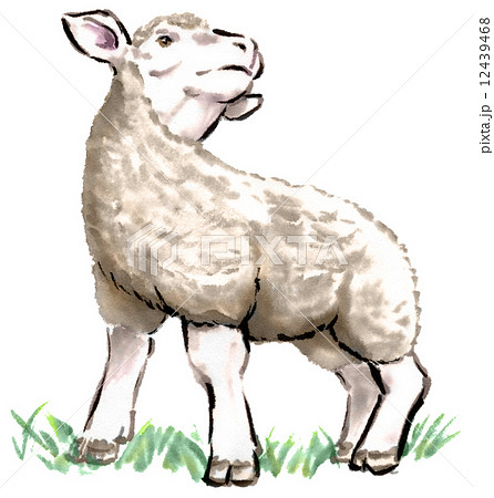 遠くを見つめる羊のイラスト素材