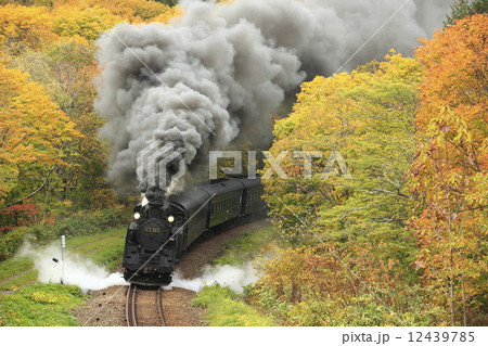 紅葉の函館本線SL 紅葉の函館本線SL 12439785
