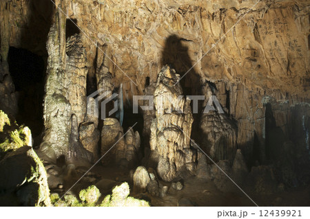 鍾乳洞 岡山 満奇洞 鍾乳洞 岡山 満奇洞 12439921