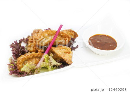 Japanese cuisine 12440293