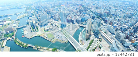 横浜都心 12442731