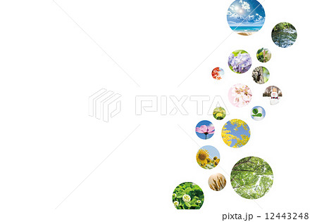 春夏秋冬 12443248