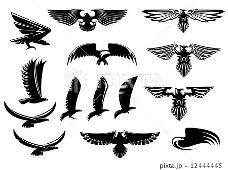 Eagle Falcon And Hawk Birds Setのイラスト素材