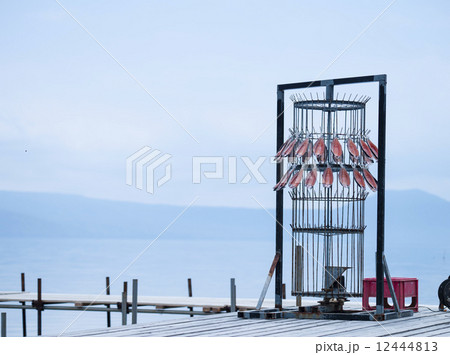 チップを干す機械 12444813