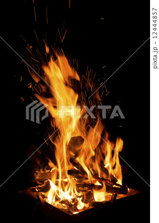 焚き火 焚き火 12444857