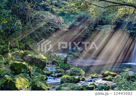 光芒 光芒 12445082