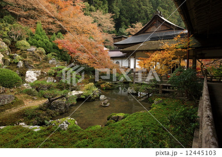 常照皇寺の紅葉 12445103