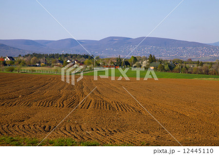 Field Field 12445110
