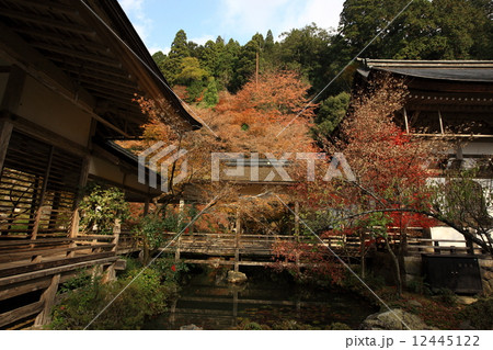 常照皇寺の紅葉 12445122