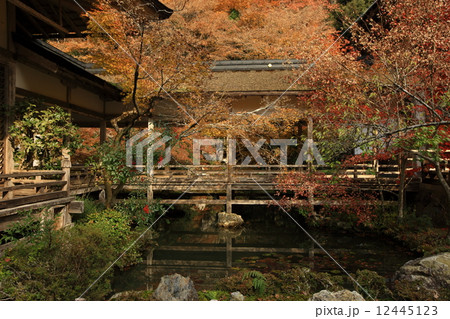 常照皇寺の紅葉 常照皇寺の紅葉 12445123
