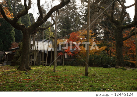 常照皇寺の紅葉 常照皇寺の紅葉 12445124