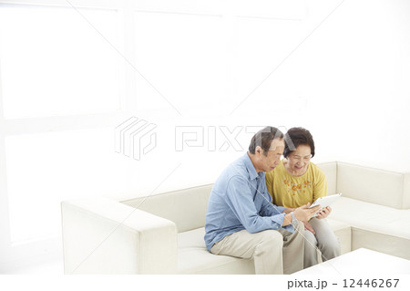 夫婦　シニア 12446267
