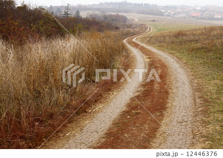 Dirtroad Dirtroad 12446376