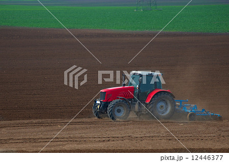 Tractor Tractor 12446377