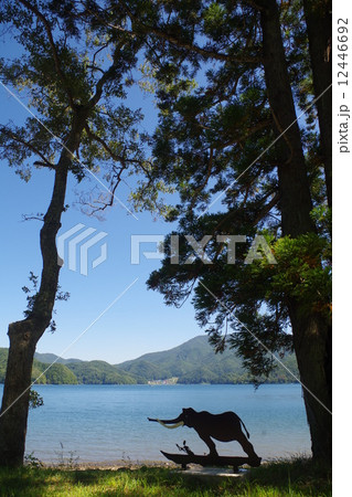 野尻湖 野尻湖 12446692