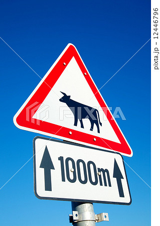 Cow sign Cow sign 12446796