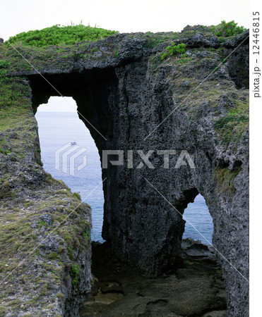 犬の門蓋 12446815