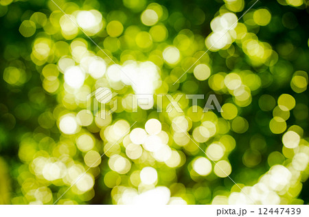 Abstract nature blur background with copy space Abstract nature blur background with copy space 12447439